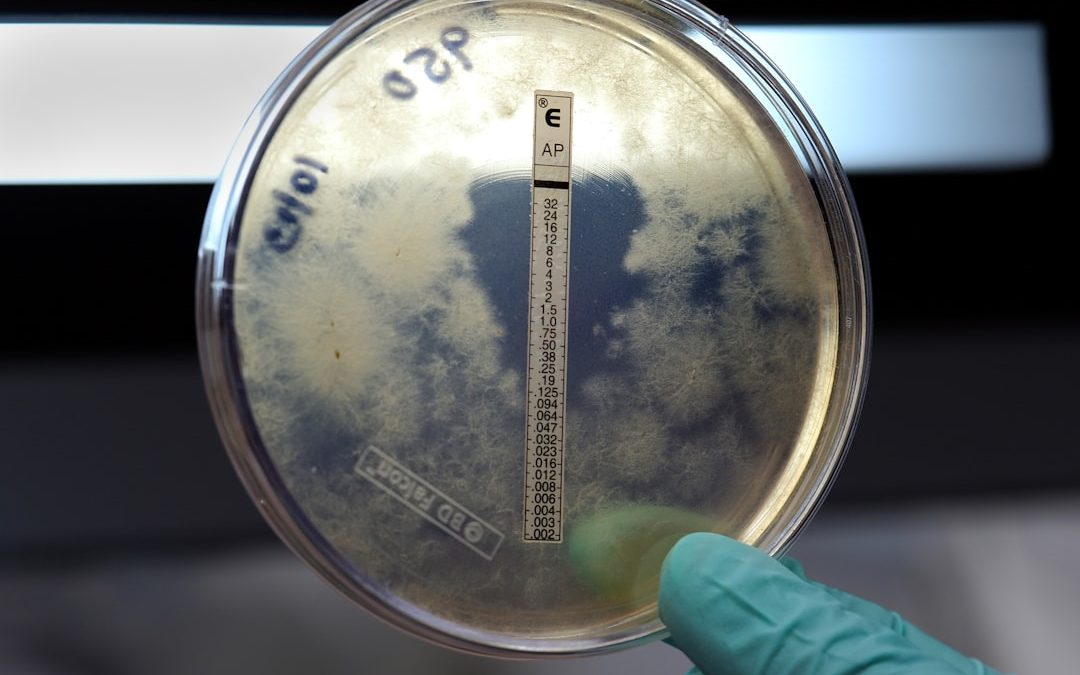 Photo Prescription antifungal