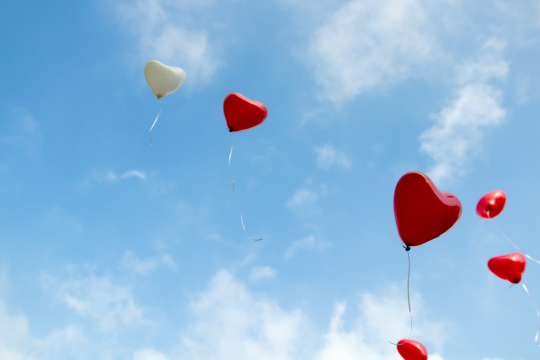 Photo Heart diagram