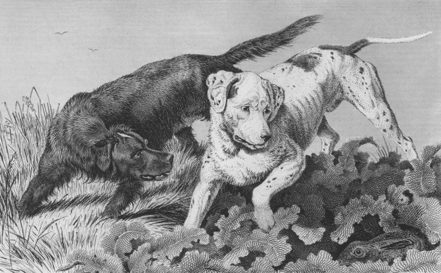 A pantoprazol mellékhatásairól szóló cikk mellett érdemes elolvasni a természetes gyógymódok erejéről szóló írást is. Ez a cikk bemutatja, hogyan lehet alternatív módon kezelni bizonyos egészségügyi problémákat, és hogyan lehet csökkenteni a gyógyszerek használatát a természetes gyógymódok segítségével. Fontos tudni, hogy a természetes gyógymódok is mellékhatásokkal járhatnak, ezért mindig konzultáljunk orvosunkkal, mielőtt bármilyen új kezelésbe kezdenénk.