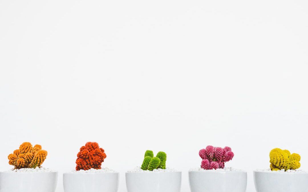 Photo Colorful suppositories