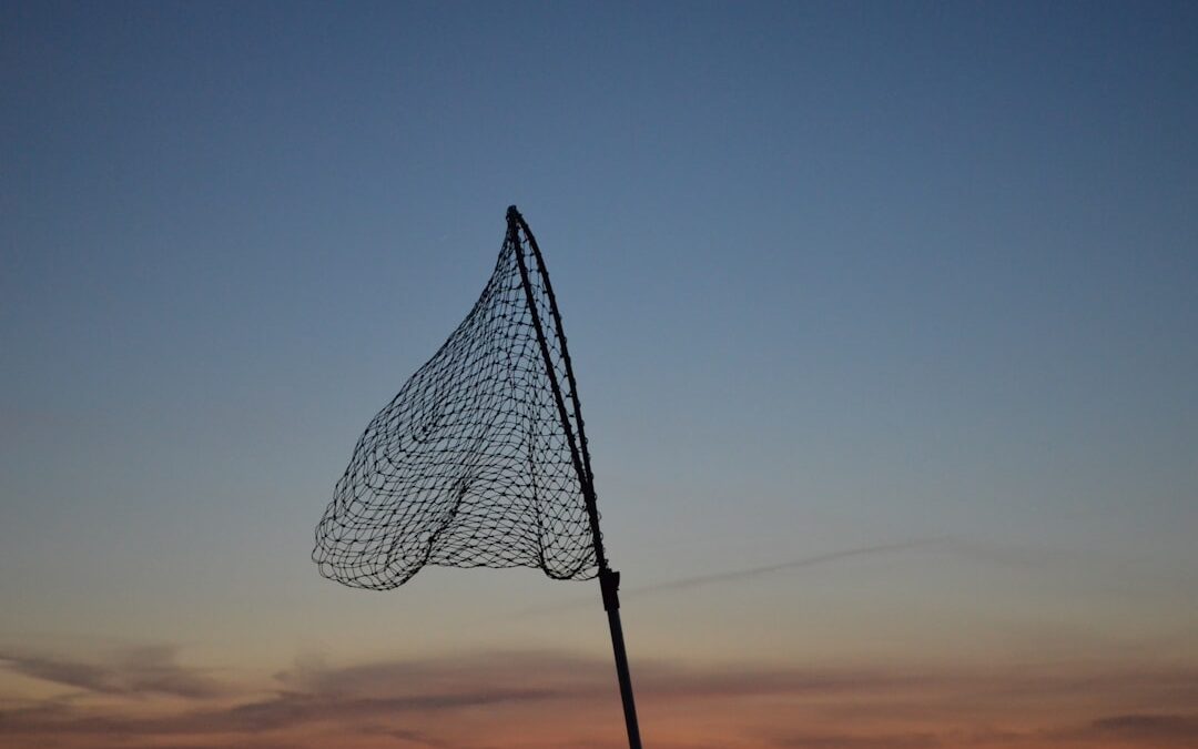 Photo Sargalaz oltas: fishing net