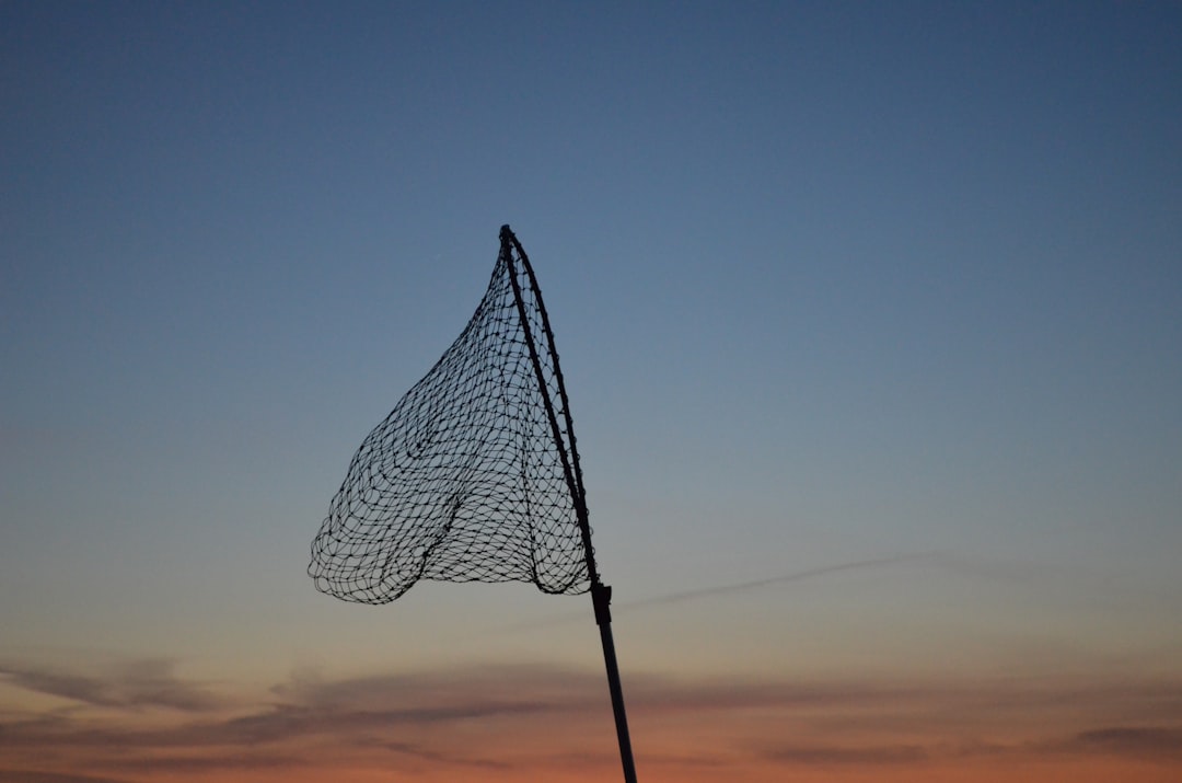 Photo Sargalaz oltas: fishing net
