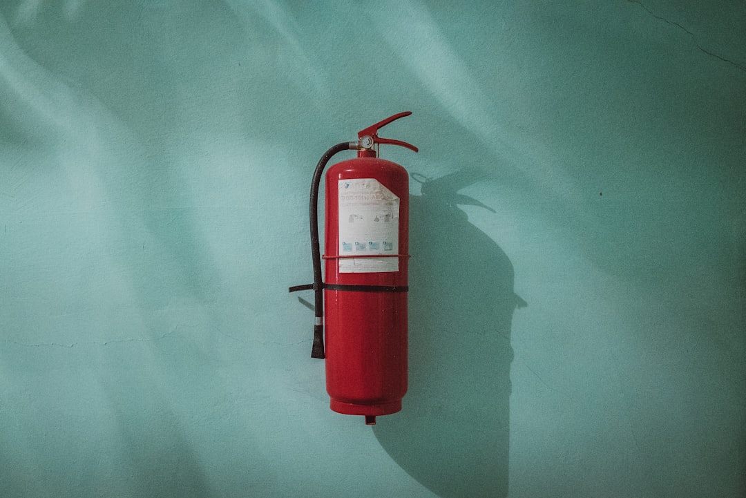 Photo Safety harness
