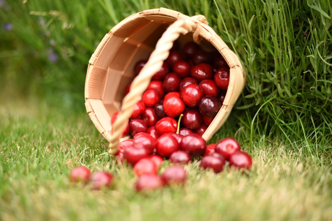 Photo Fruit basket