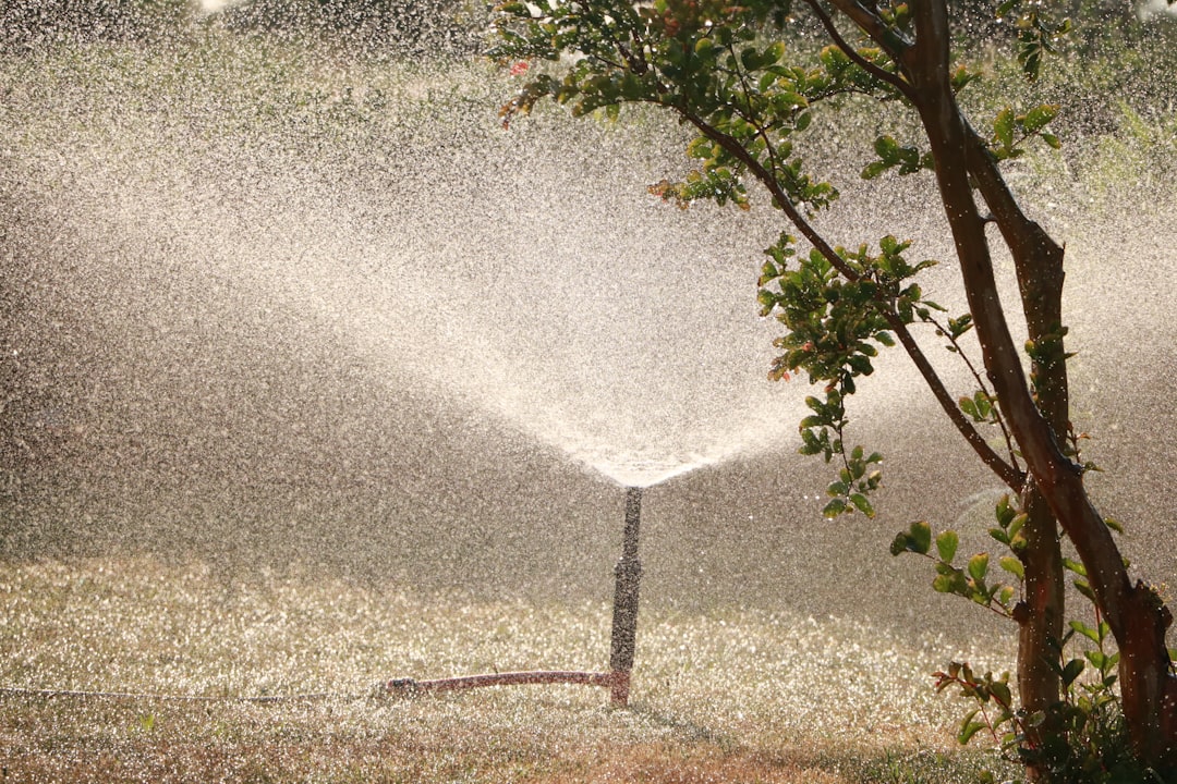 Photo Throat spray