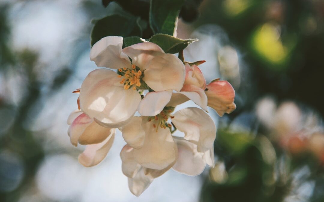 Photo Overuse of antibiotics