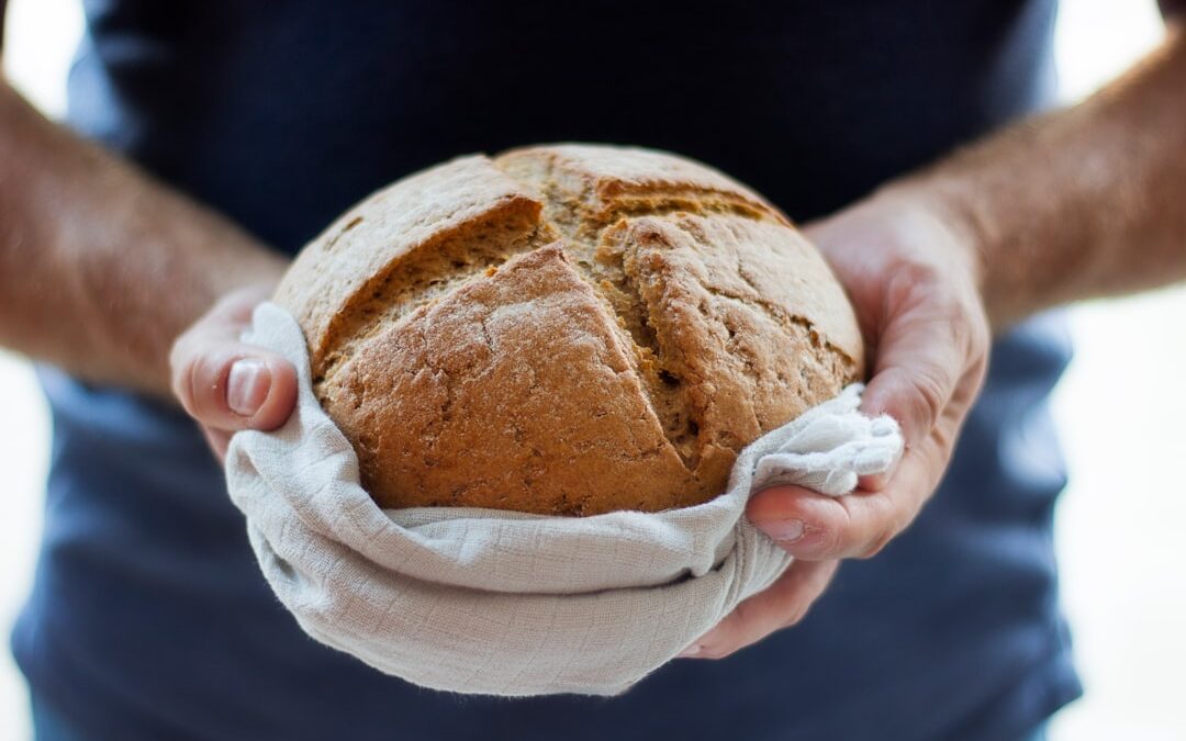 Photo moldy bread