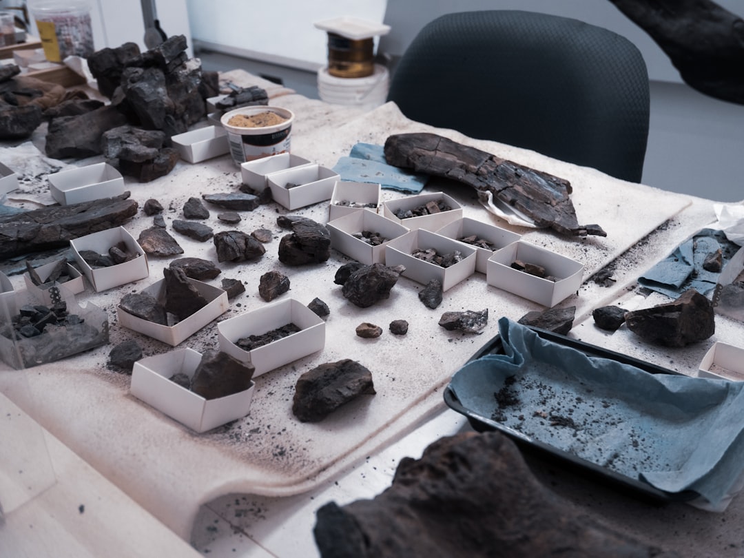 Photo Fossil record