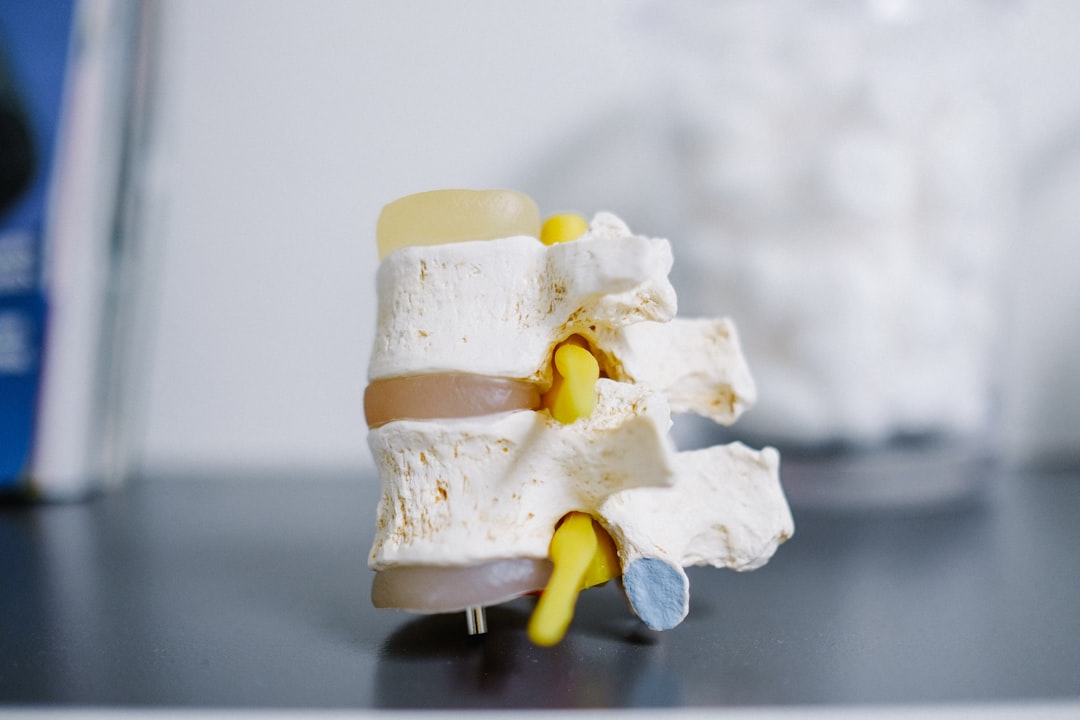 Photo Bone marrow