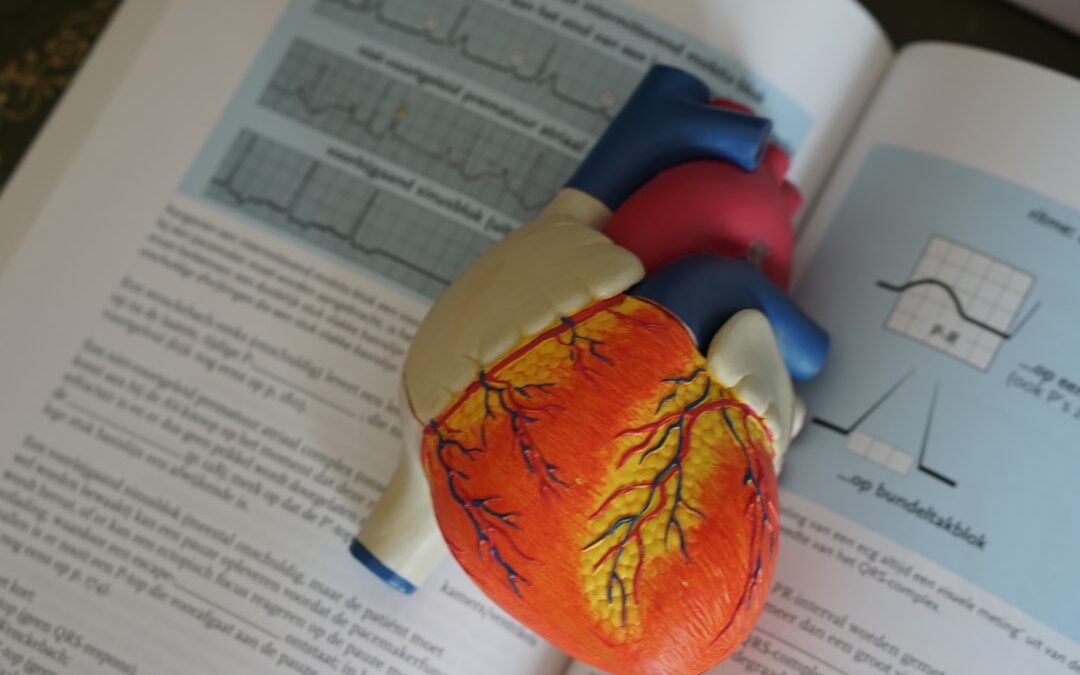 Photo Medical illustration