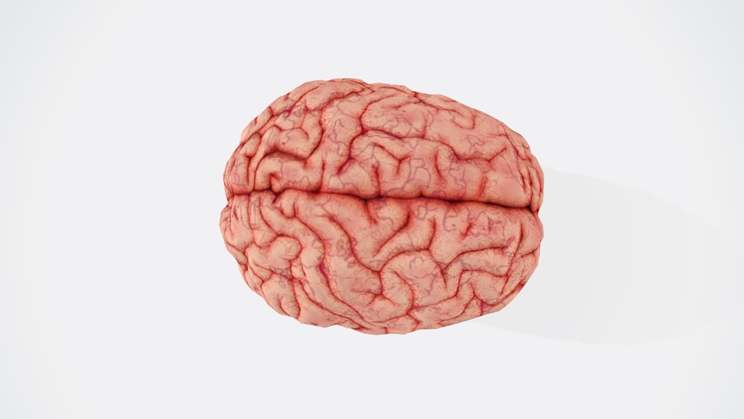Photo Brain illustration