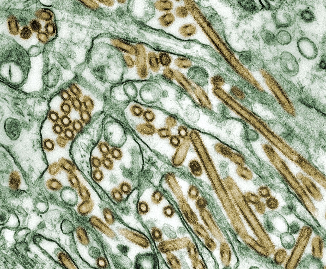 Photo Medical illustration