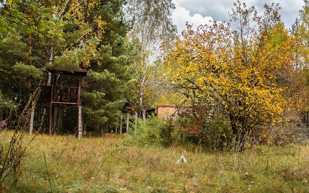 Nyirokcsomó sugárkezelés hatékonysága és mellékhatásai
