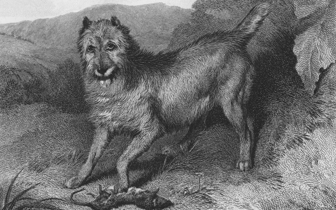 Epehólyag problémák kezelése: hatékony módszerek és tippek