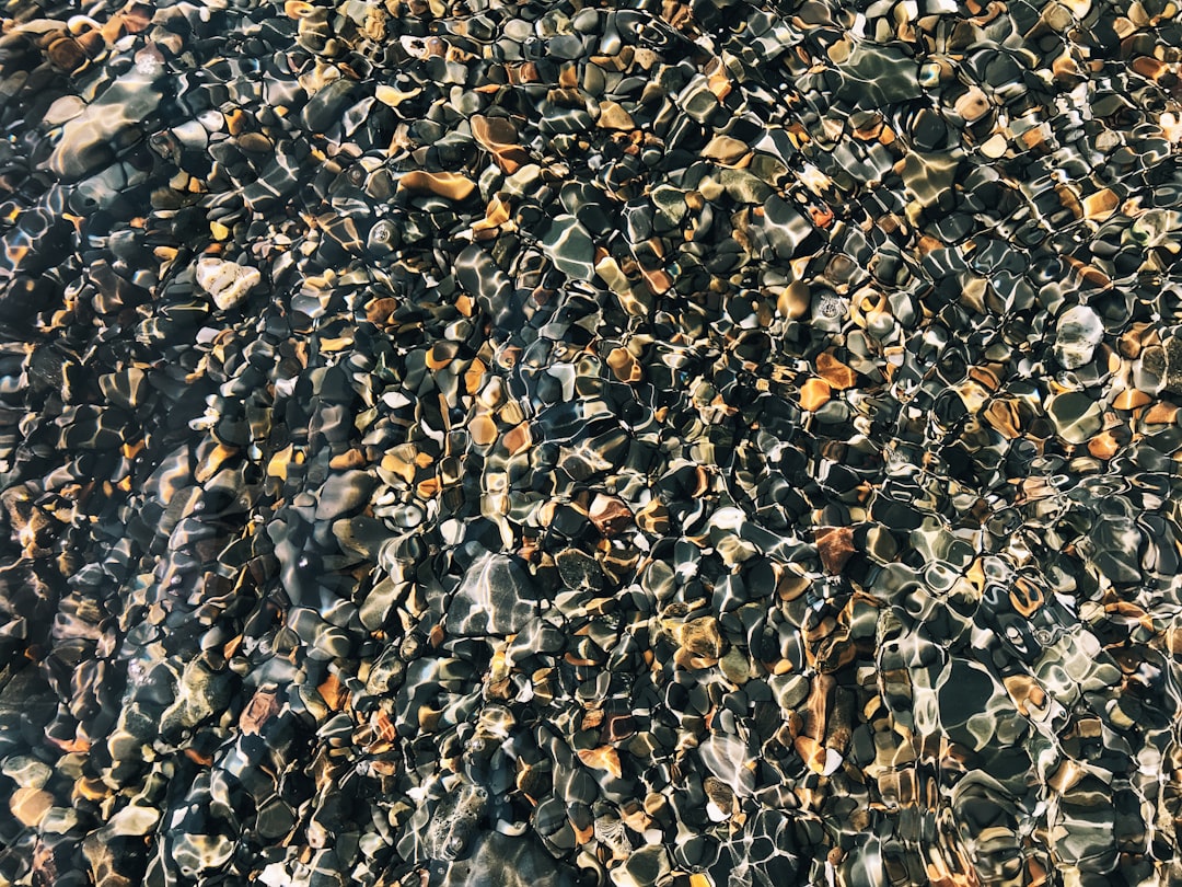 Photo Kidney stones