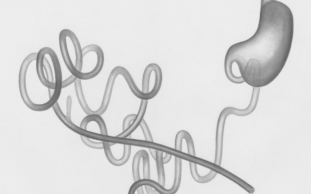 Helicobacter pylori tünetek és kezelési lehetőségek