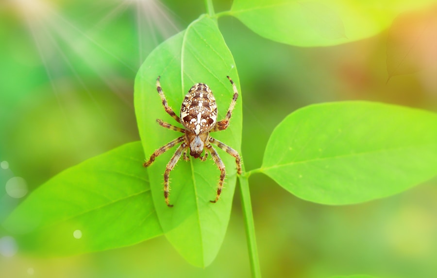 Photo "tick-borne encephalitis symptoms"