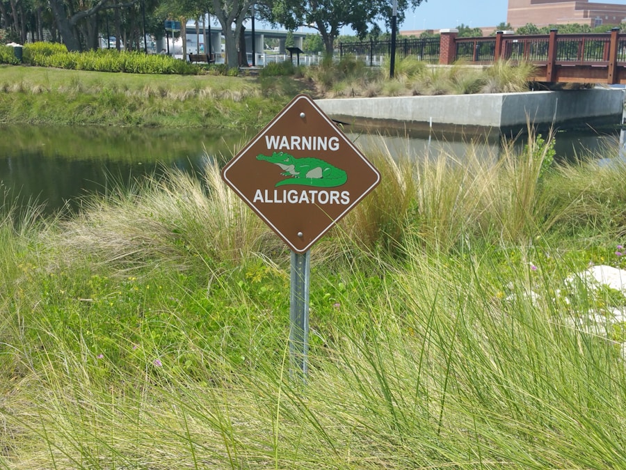 Photo "fainting urination"
