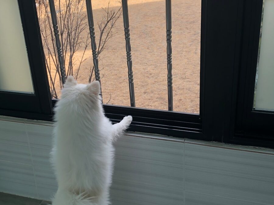 Photo "Hello friend"