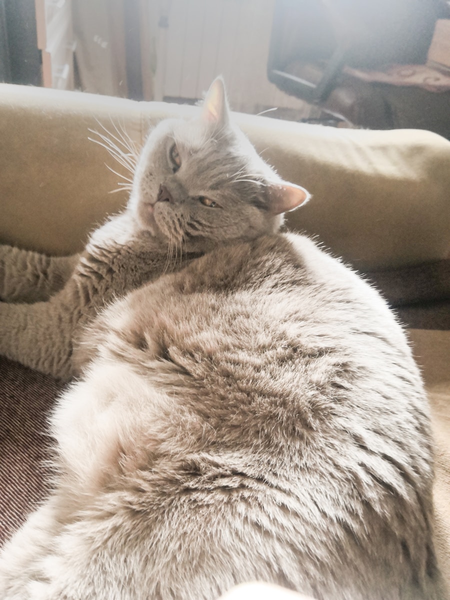 Photo After the diet