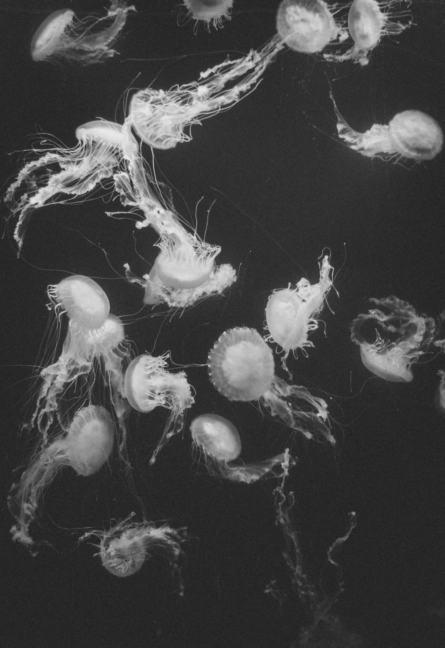 Photo "Methods of treating amoebiasis"