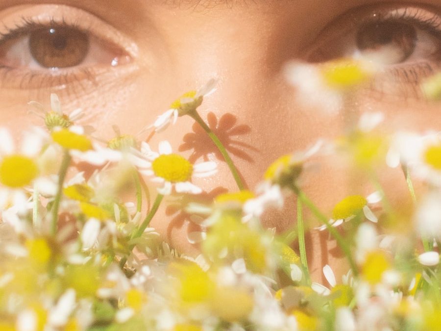 Photo Types of allergies