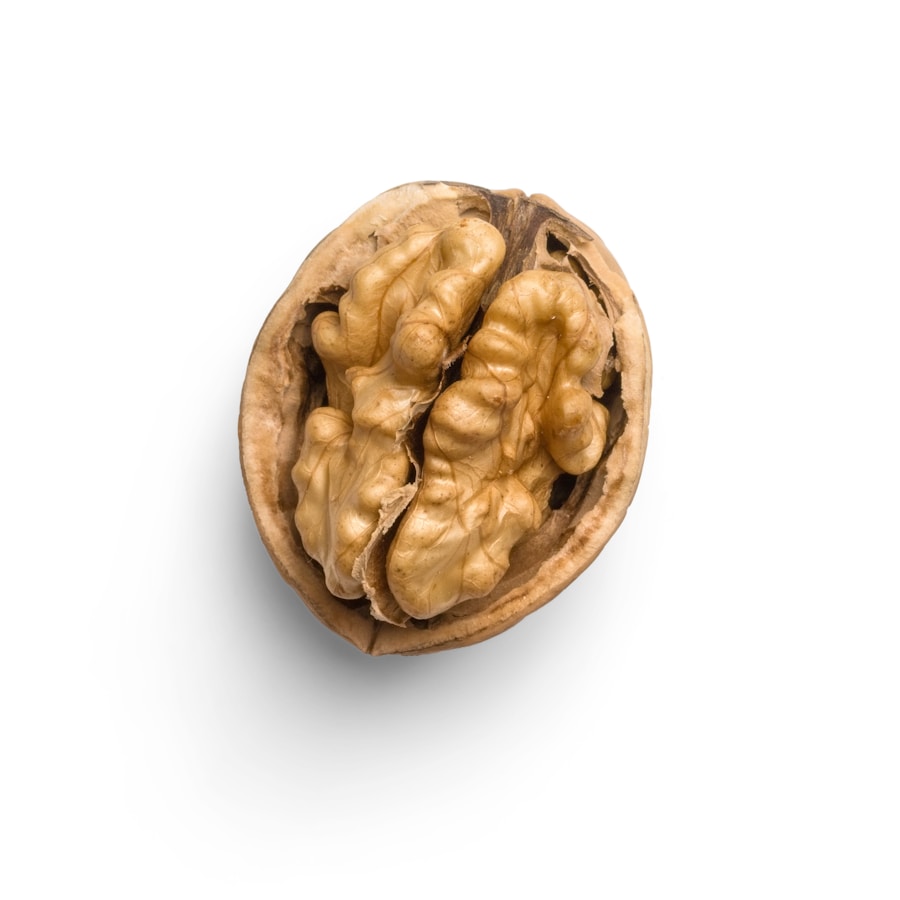 Photo "Prevention of Alzheimers disease"
