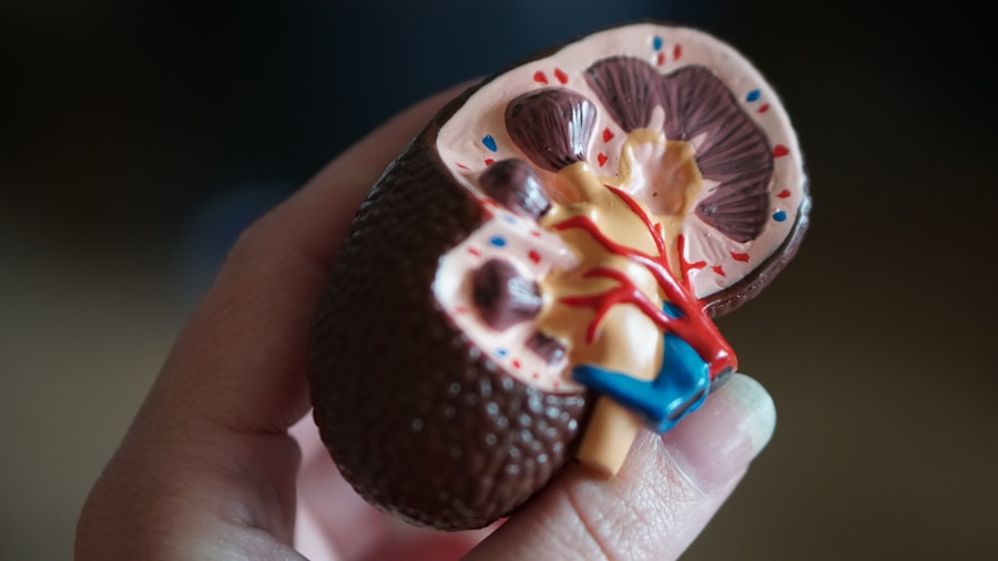 Photo "Risk factors for amyloidosis"