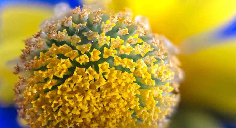 Photo "Causes of autoimmune hepatitis"