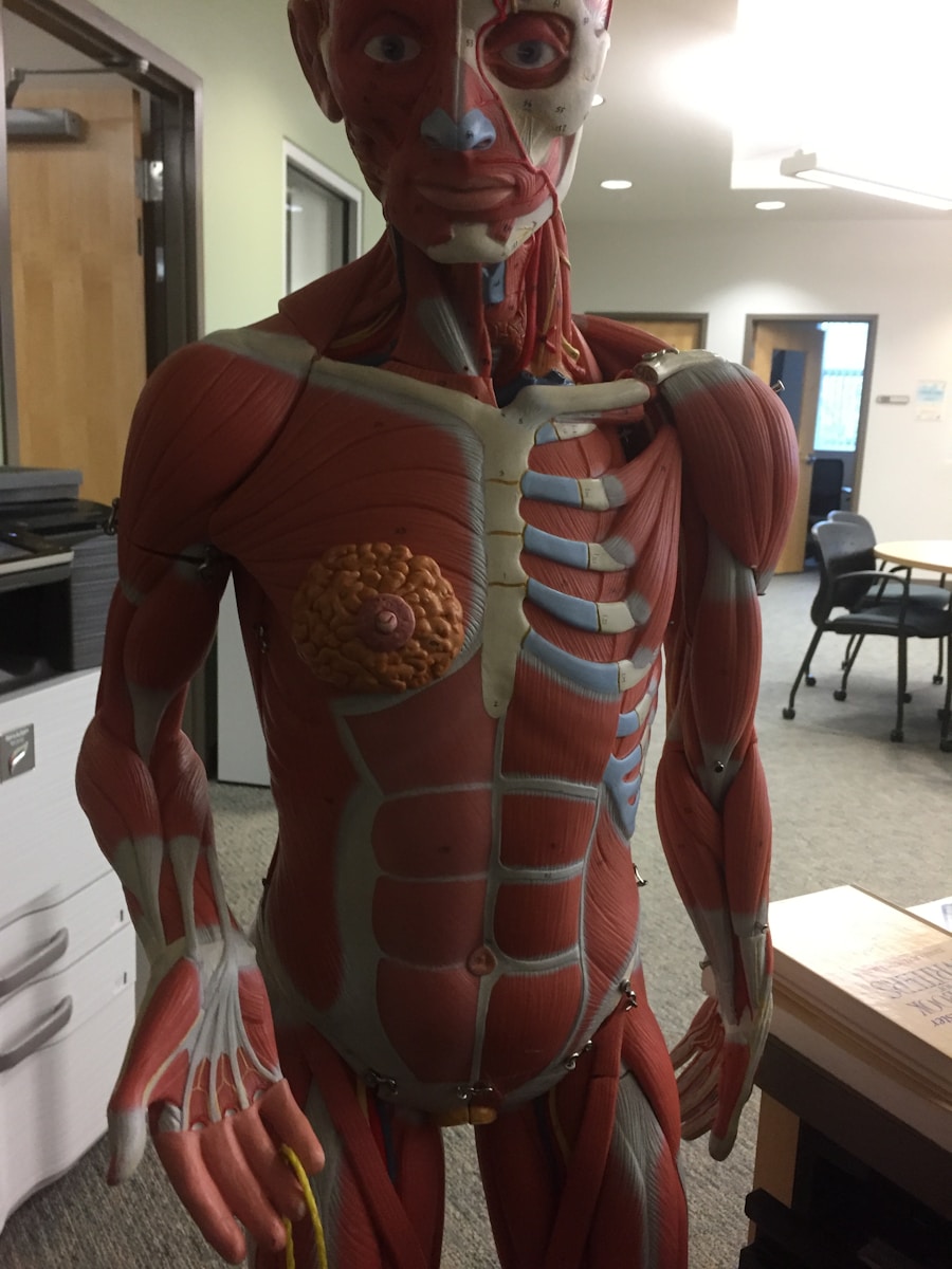 Photo "Types of angina pectoris"