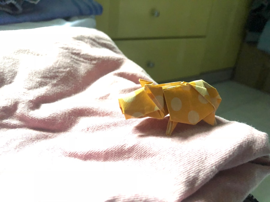 Photo After wisdom tooth removal
