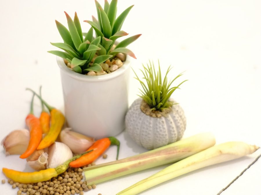 Photo "Home treatment for dermatitis"