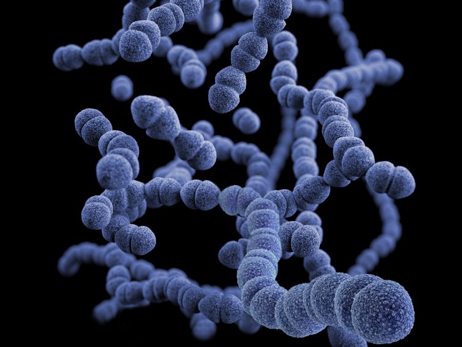 Photo "Candida infection and immune system"