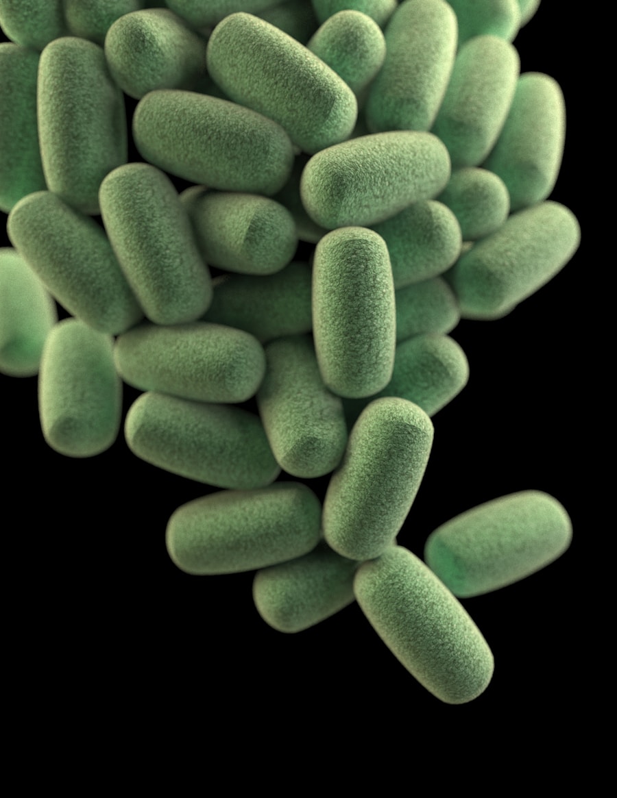 Photo "Treatment of leaky gut syndrome"