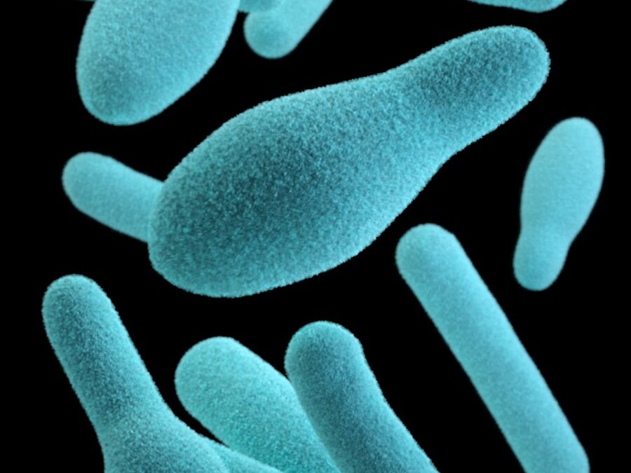 Photo "Leaky gut syndrome research"