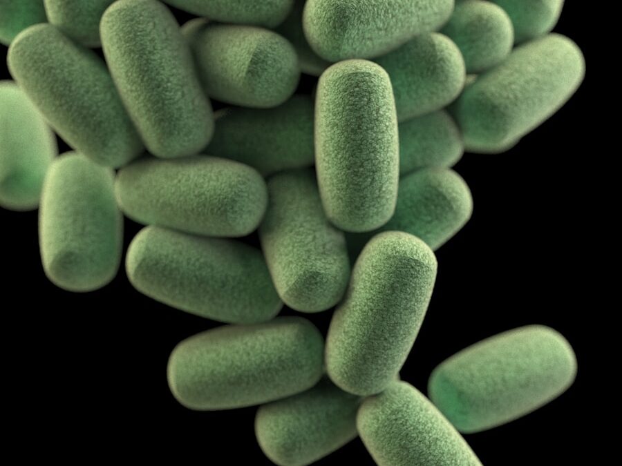 Photo "Prevention of leaky gut syndrome"