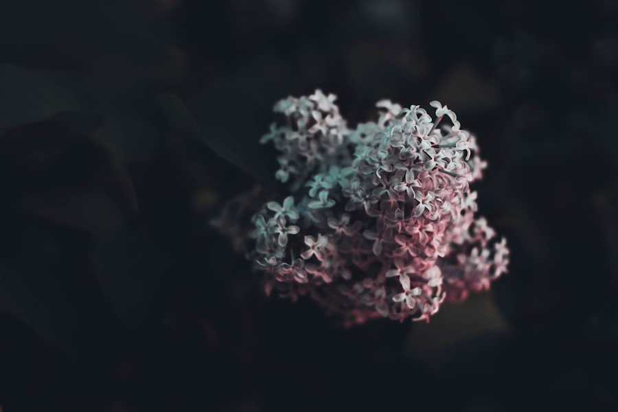 Photo Autoimmune disease