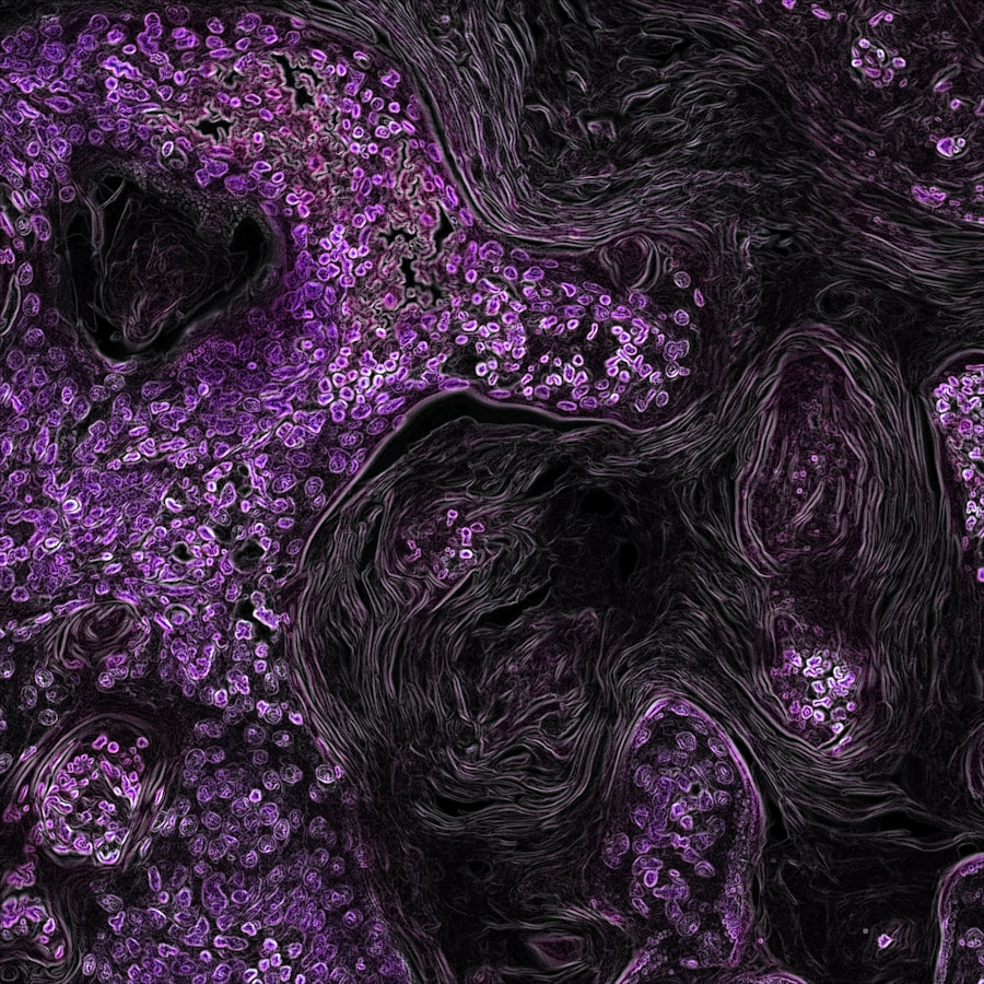 Photo Immune system