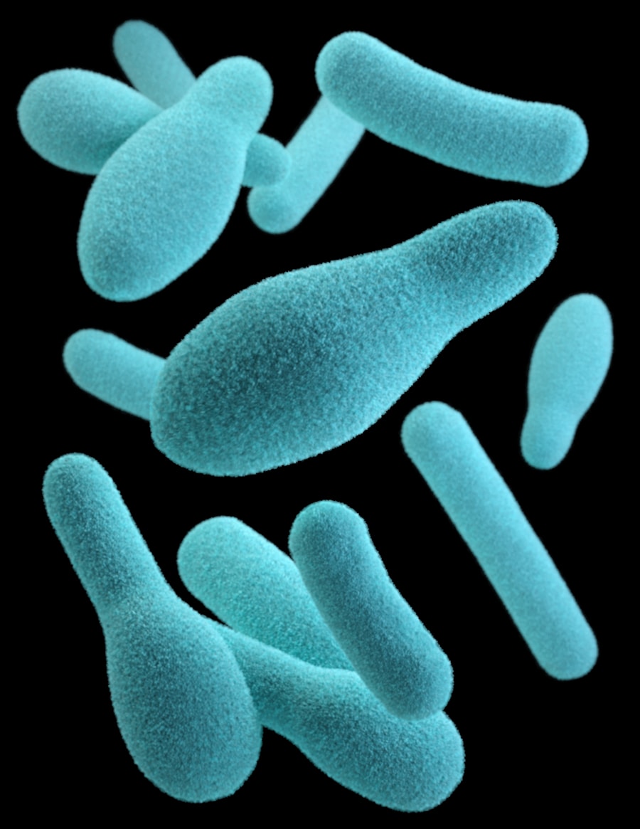 Photo Causes of Candida infection