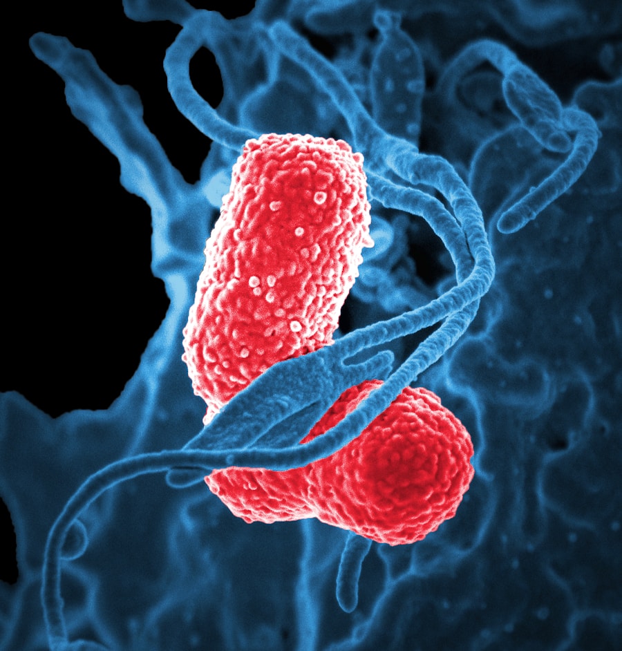 Photo Treatment of Candida infection