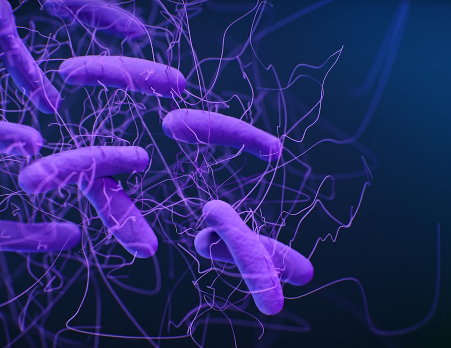 Photo "Diagnosis of Campylobacter infection"