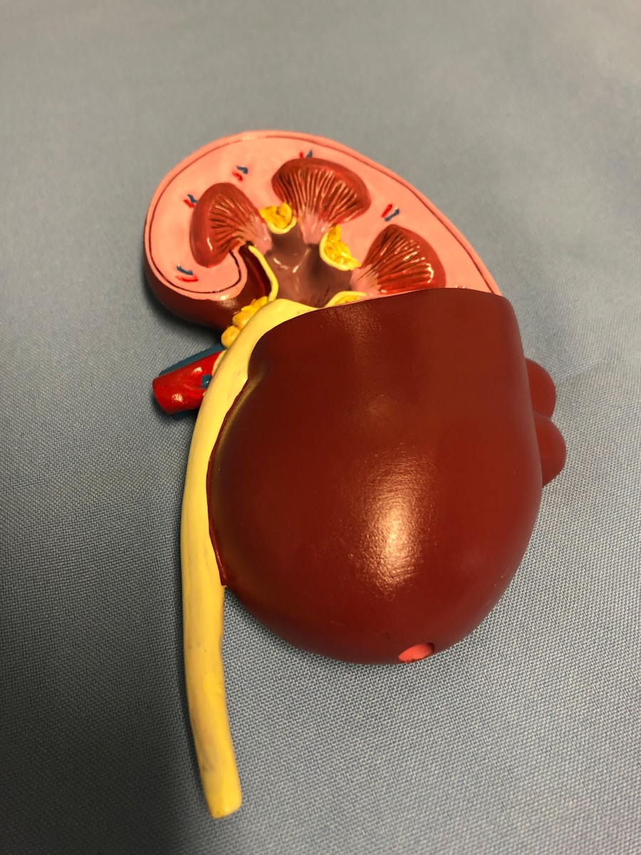 Photo "Development of Barretts esophagus"