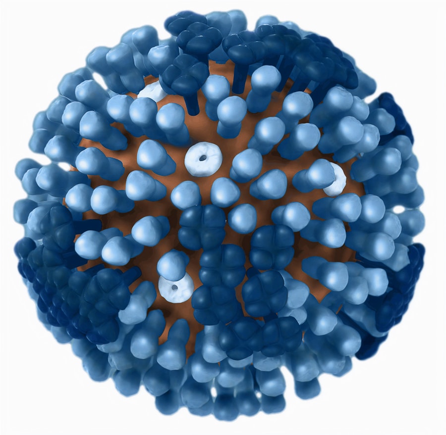 Photo "Treatment of calicivirus infection"
