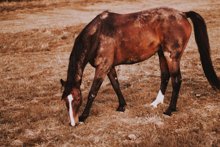 Photo "Diagnosis of Bechterews disease"