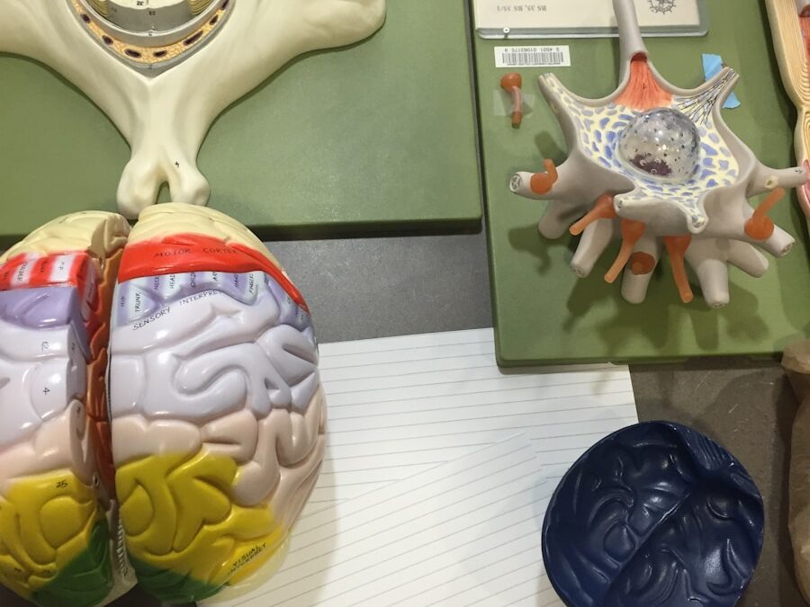 Photo BPPV treatments