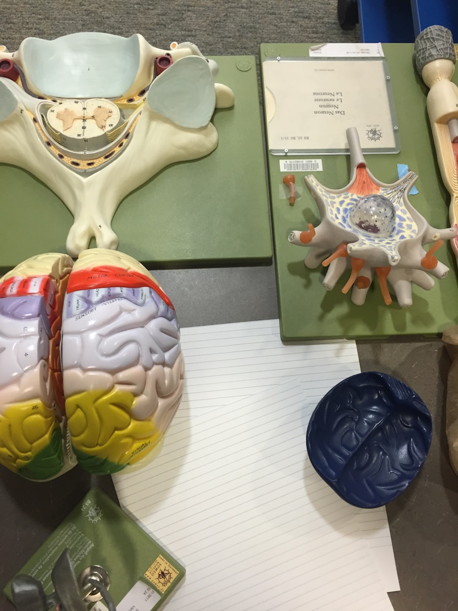 Photo BPPV treatments