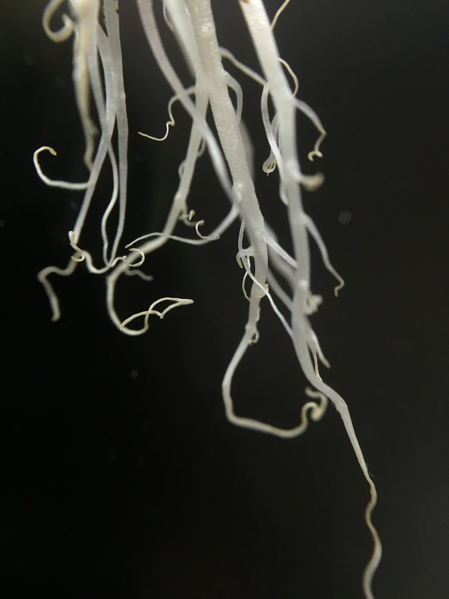 Photo Intestinal worms