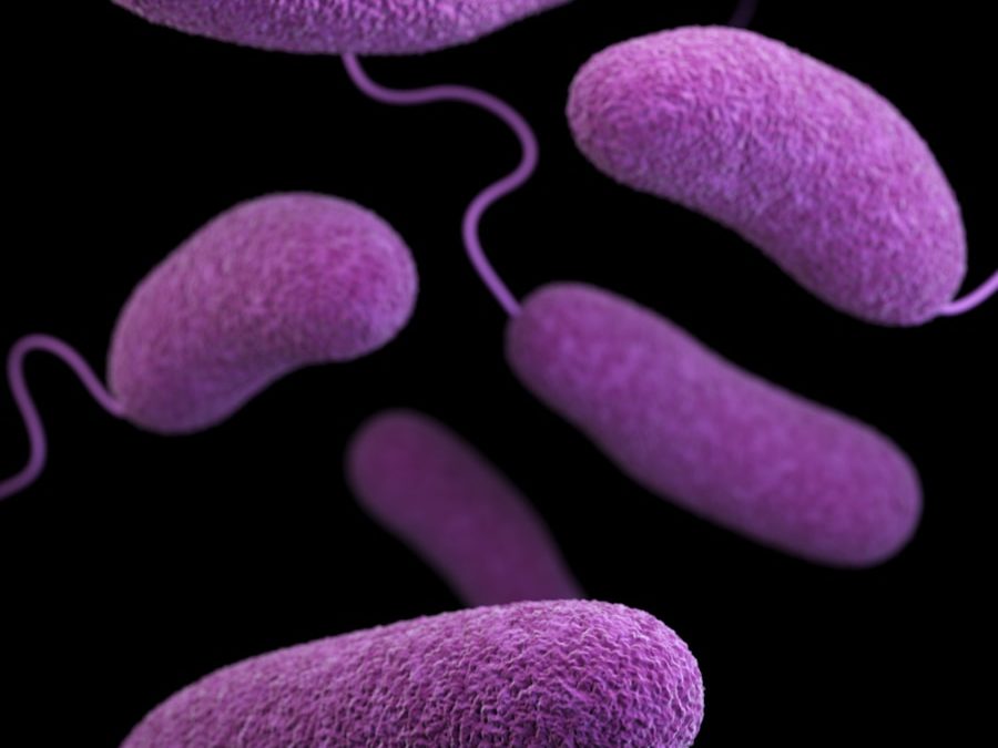 Photo "Dangers of botulism"