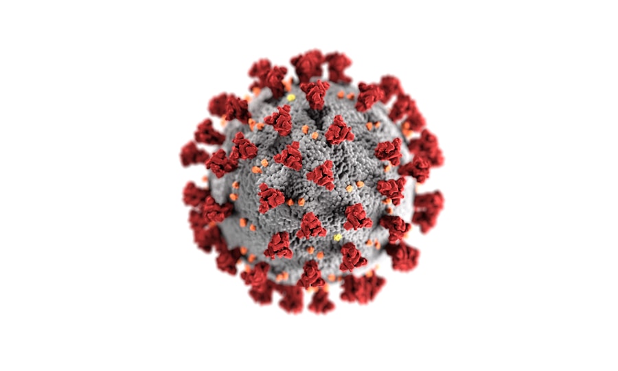 Photo Treatment of Chikungunya fever