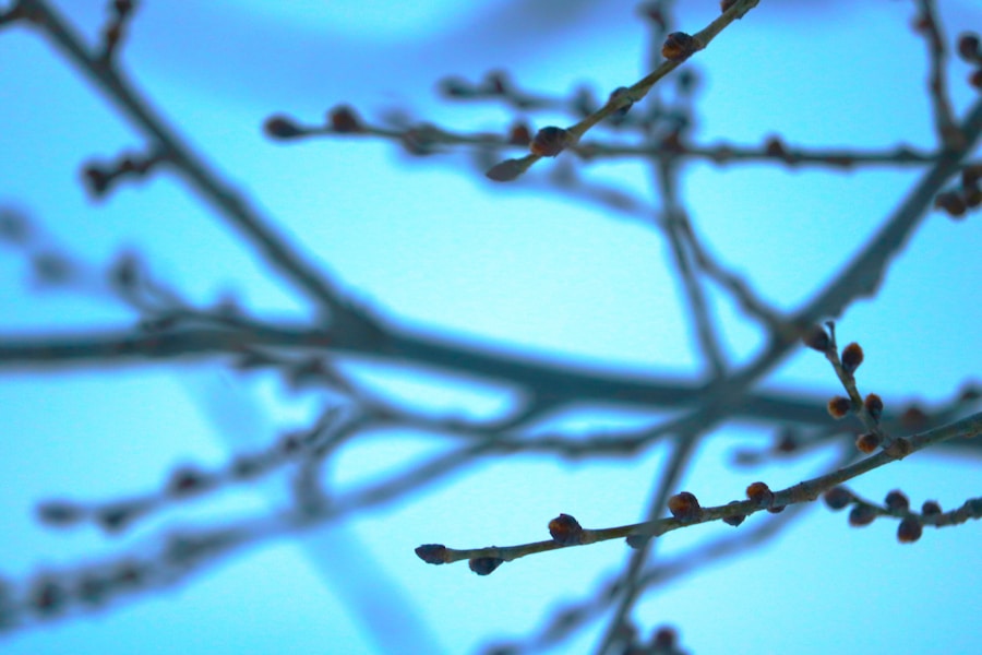 Photo Neurodegenerative disease